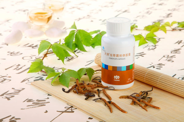 cordyceps_1